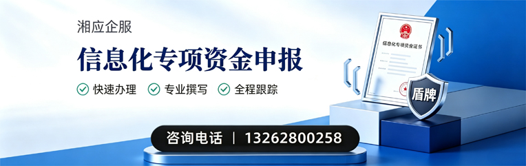 北海信息化专项资金申报服务