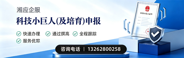 北海科技小巨人及培育企业申报服务