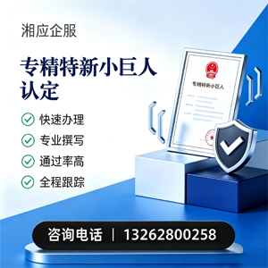 北海专精特新小巨人申报服务