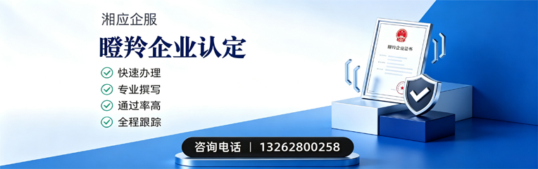 北海瞪羚企业认定申报服务