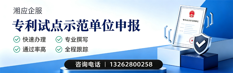 北海专利试点示范单位申报服务