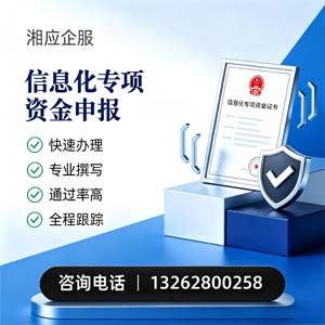 北海信息化专项资金申报服务