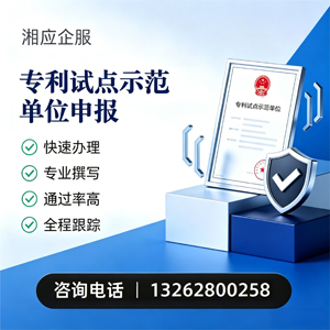 北海专利试点示范单位申报服务