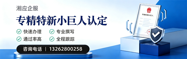 北海专精特新小巨人申报服务